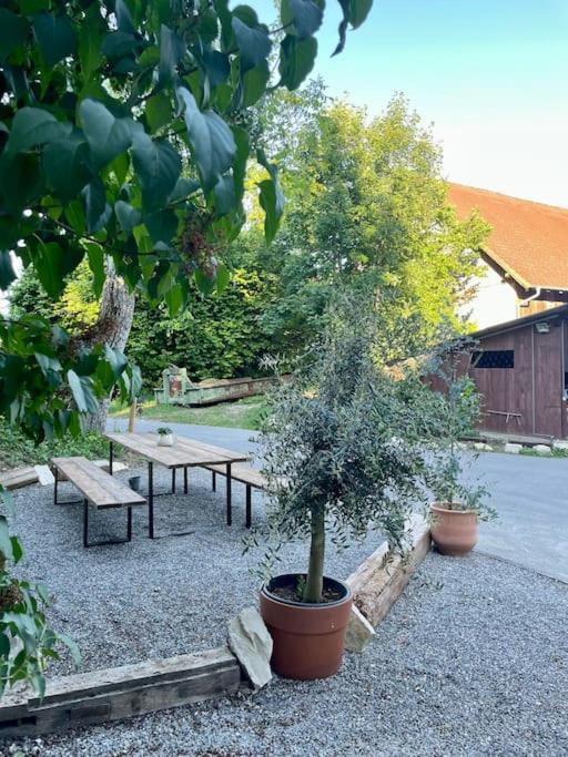 Zauberhafte Ferienscheune Im Hofgut Alte Oelmuehle 엥겐 외부 사진